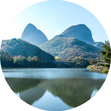 진안홍삼젤리 point2